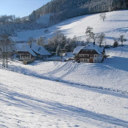 Stulzenhof Daire Hofstetten (Baden-Wurttemberg)